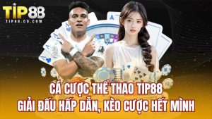 Cá Cược Thể Thao TIP88 - Giải Đấu Hấp Dẫn, Kèo Cược Hết Mình
