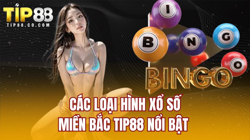 Các loại hình xổ số miền Bắc TIP88 nổi bật 