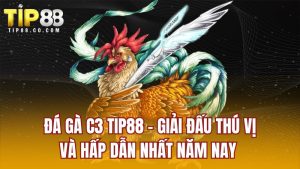 Đá Gà C3 TIP88 - Giải Đấu Thú Vị Và Hấp Dẫn Nhất Năm Nay