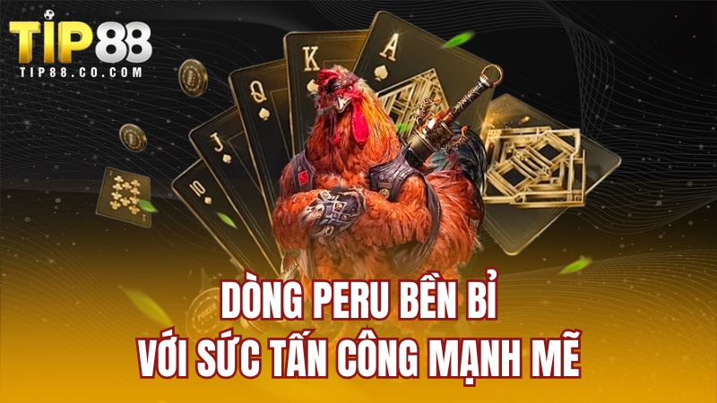 Dòng Peru bền bỉ với sức tấn công mạnh mẽ